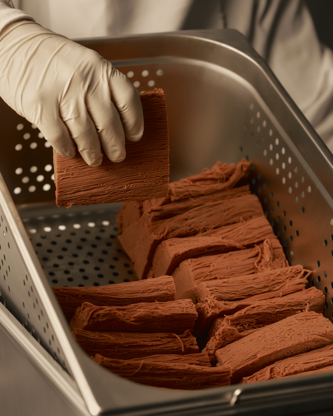 Merging tradition with innovation in the plant based protein space